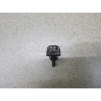Форсунка омывателя лобового стекла Renault Koleos (HY) (2008 - 2016) 289301607R