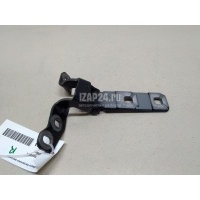 Петля двери багажника верхняя BMW X5 E70 (2007 - 2013) 41627170922