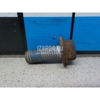 Болт суппорта Ford C-MAX (2010 - ) 1681381