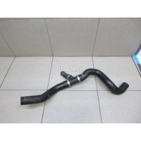 Патрубок радиатора Ford C-MAX (2003 - 2010) 1375346