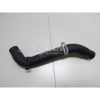 Патрубок Mercedes Benz W215 CL coupe (1999 - 2006) 2208320194