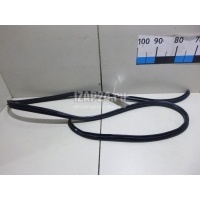 Уплотнитель двери Hyundai-Kia Ceed (2007 - 2012) 831301H500