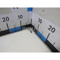 Болт цапфы Renault Espace IV (2002 - 2014) 8200621871