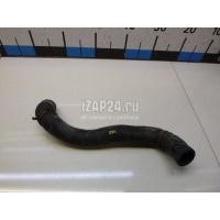 Патрубок радиатора Renault Megane II (2003 - 2009) 8200233966