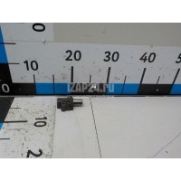 Натяжитель цепи Land Rover Discovery III (2004 - 2009) 4179611
