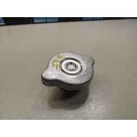 Крышка радиатора Nissan X-Trail (T31) (2007 - 2014) 2143050A02