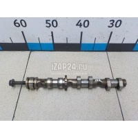 Распредвал выпускной VAG A4 [B7] (2005 - 2007) 06E109102AL