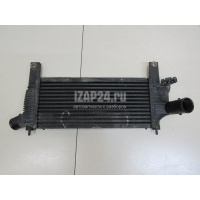 Интеркулер Nissan Navara (D40) (2005 - 2015) 14461EB360