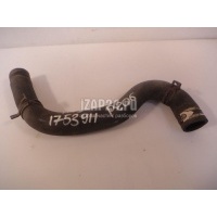 Патрубок радиатора Citroen-Peugeot 206 (1998 - 2012) 1351Y4