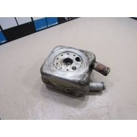 Радиатор масляный VAG Passat [B5] (1996 - 2000) 078117021A