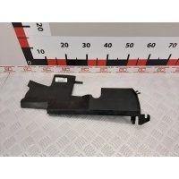 Защита радиатора Renault Scenic 3 (2009-2013) 2010 214940024R