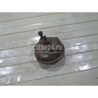 Камера тормозная Volvo Daily (1990 - 1999) 3987121