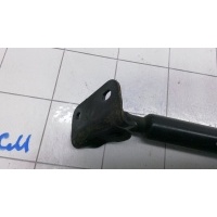 Амортизатор 3-5 двери RENAULT SCENIC (2008-0000) 2011 904500004R