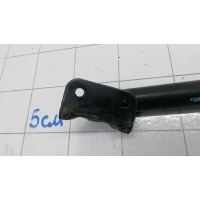 Амортизатор 3-5 двери RENAULT SCENIC (2008-0000) 2011 904500004R