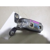Петля двери GM STS (2005 - 2011) 130089