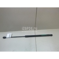 Амортизатор двери багажника Ford EcoSport (2013 - ) 2112322
