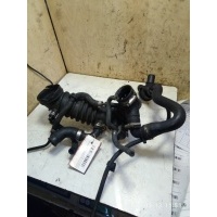 Патрубок турбины Volkswagen PASSAT 5 2002 058133356P