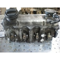 Головка блока цилиндров Volkswagen GOLF IV 2000 038103373E