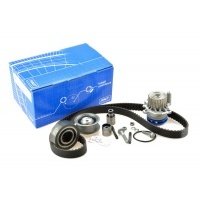 skf двигатель + насос audi a3 1.9 tdi agr alh ahf asv