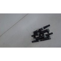 Катушка зажигания Renault Clio 2005-2009 2006 224333529R