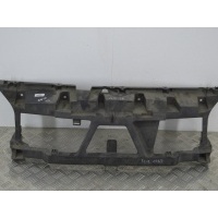 Передняя панель крепления облицовки (телевизор) Renault Scenic 2 (2003-2009) 2004 8200140174