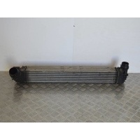Интеркулер Renault Megane 3 (2008-2019) 2010 144960006R