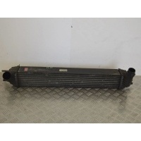 Интеркулер Renault Laguna 3 (2007-2015) 2008 144610001N