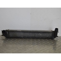 Интеркулер Renault Laguna 3 (2007-2015) 2008 144610001N
