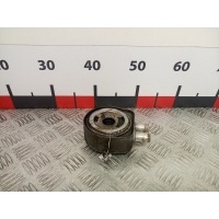 Теплообменник Renault Scenic 3 (2009-2013) 2010 8200806731