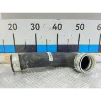 Патрубок интеркулера Audi A3 8P (2003-2012) 2005 1K0145834G