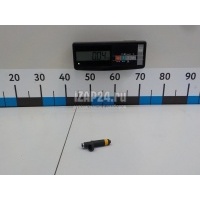 Форсунка инжекторная электрическая Renault Clio II/Symbol (1998 - 2008) 8200128961