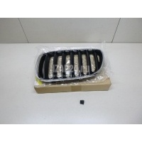 Решетка радиатора левая TYG X5 E53 (2000 - 2007) BM07031GAL