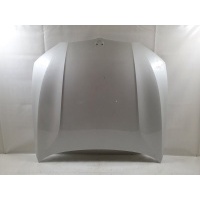 капот BMW 3 G20 41008494446