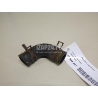 Патрубок радиатора Honda Jazz (2002 - 2008) 19508PWAJ00
