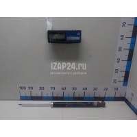 Амортизатор задний Ford EcoSport (2013 - ) 1915807