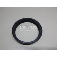 Кольцо уплотнительное (двигатель) Nissan Note (E11) (2006 - 2013) 1734279900