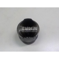 Поршень Renault Clio III (2005 - 2012) 120A19588R