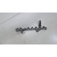 Рампа (рейка) топливная Renault Scenic 2009-2012 2010 175212059R