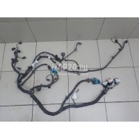Проводка (коса) Ford C-MAX (2003 - 2010) 1674421