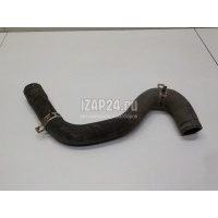 Патрубок радиатора Citroen-Peugeot 206 (1998 - 2012) 1351GZ