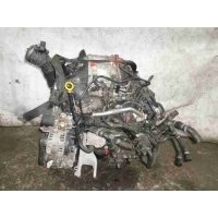 Насос ГУР Volkswagen T6 2016 - наст. время 2016 7E0422154E