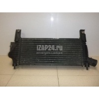 Интеркулер Nissan Navara (D40) (2005 - 2015) 14461EB360