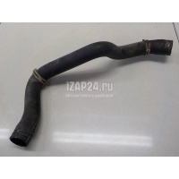 Патрубок радиатора Ford Transit (2006 - 2013) 1371293
