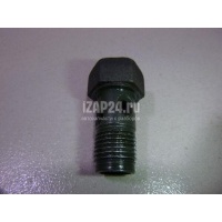 Болт полый Suzuki Liana (2001 - 2007) 0936016008