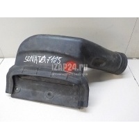 Воздухозаборник (наружный) Hyundai-Kia Sonata V (NF) (2005 - 2010) 282103K010