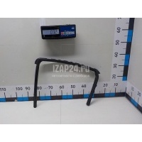 Уплотнитель стекла двери Nissan Juke (F15) (2011 - 2019) 82331BA60A