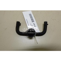 Датчик температуры VAG Caddy III (2004 - 2015) 038906081B