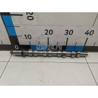 Распредвал Renault Clio III (2005 - 2012) 8200664675