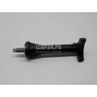 Гайка VAZ Laguna II (2001 - 2008) 7703041049