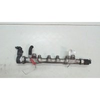 Рампа (рейка) топливная Volkswagen Tiguan 2011-2016 2012 03L130089J